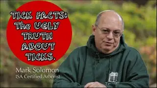 Tick Facts:The Ugly Truth About Ticks