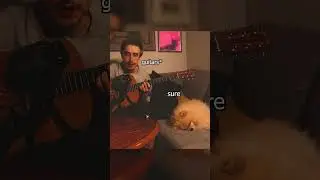 Acoustic Shoegaze