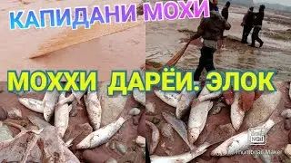 тарзи мохи капи дар дарёи элок 2021 барои гариб. бачахо