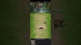 ВЕЛИКИЙ СУЛТАН,  питомник как пройти уровни тактика. Game Of Sultans level passing tactics