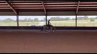 Shesa Shiney Whip