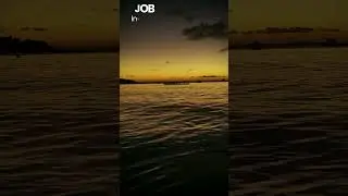 JOB DATA HUB