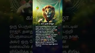 காட்டின் ராஜா 🦁