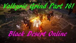 Black Desert Online - Valkyrie Lvl1-50 Grind Part 16!