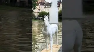 Baden-Baden #badenbaden #racing #galope