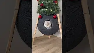 Наряжаем елочку 🎄Поздравляем всех с наступающим Новым годом 🥳
