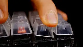ASMR 1h of keyboards cherry mx switches