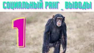 Как социальный статус влияет на психику человека?
