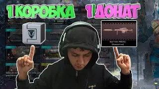 1 коробка 1 донат Warface Тактика Адемсена