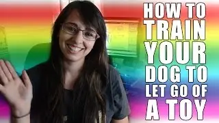 How To Train Your Dog To Let Go Of A Toy