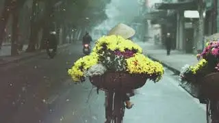 Karaoke Ngang trái (Lê Dinh) - Tone nam