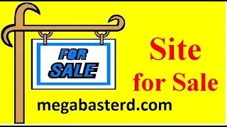 Can You REALLY Sell Your Mega Tool Domain Website Names in 2024?