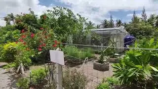 Greenhouse & off to Park