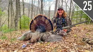 NON-STOP TURKEY HUNTING ACTION! - Public Land in the Virginia Mountains!