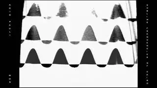 Acid Pauli: Sublime Frequencies Of Cairo