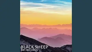 Black Sheep