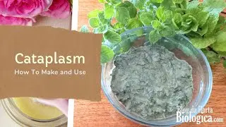 Cataplasm / Poultice: What Is It? How To Do It? How To Use It?