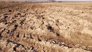 Вести с поля,барануем многолетние травы