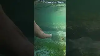 Samsung Galaxy A34 5G - Water Test 😲 