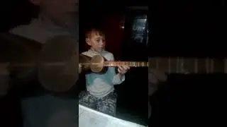 Tarda Elgun Memmedov
