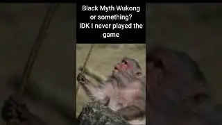 "Black Myth Wukong or something IDK"