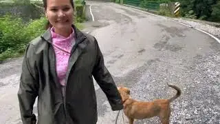 हम अपने डॉग को भी घुमाने लेकर चलते हैं मसूरी #Mussoorie #QueenOfHills #Dehradun #Uttarakhand