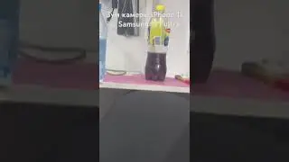 Зум камеры iPhone 11 vs Samsung s21 ultra