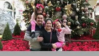 Navidad en Jardín del Bellagio | Las Vegas