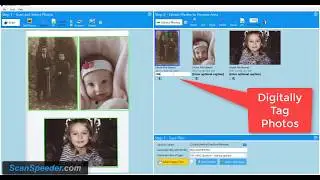 Scan Multiple Photos: Epson Simple