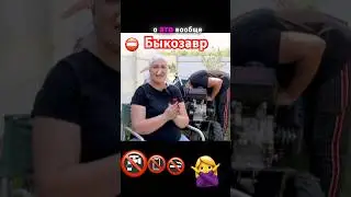 Режиссёрское кресло Репортаж: блокировка счетов к ДР #матьгероиня #побируха#мем#скандал#разоблачение