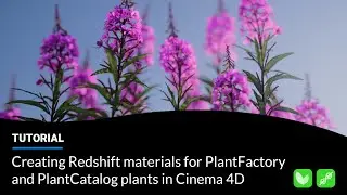 Creating Redshift materials for PlantFactory and PlantCatalog plants in Cinema 4D