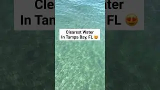 📍 Clearest water in Tampa Bay! 😍#fortdesoto #floridatravel  #summer #floridabeaches #florida #travel