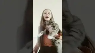 Аши Аши