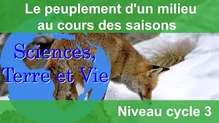 Le peuplement d'un milieu au cours des saisons