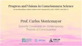 Scientific Constraints on Contemporary Theories of Consciousness -- Carlos Montemayor