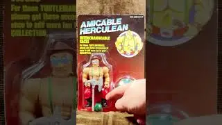 Not a Ninja Turtle Action Figure