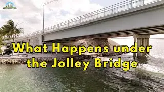 Hidden Views Under Jolley Bridge: Have You Ever Been Curious?