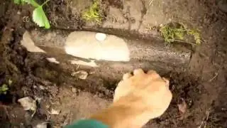 How to Grow Plants on Slopes and Hills