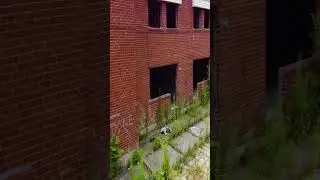 Abandoned Townhouse Complex