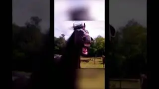 Farlight 84 для одаренных 2