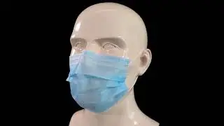 2 Ply Nonwoven Face Mask