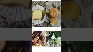 Сайно и Тигнари 