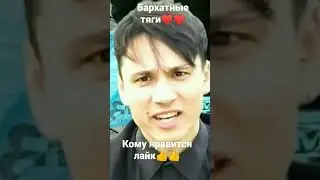 бархатные тяги🙃🙃