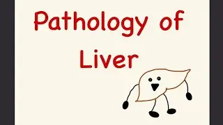 Functional Anatomy of Liver DR MITHILA / #LIVER PATHOLOGY series PART 1