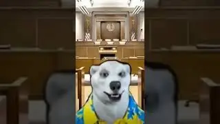 НЕКОГЛАЙ СТАЛ ХОДИЛКИ БРОДИЛКИ