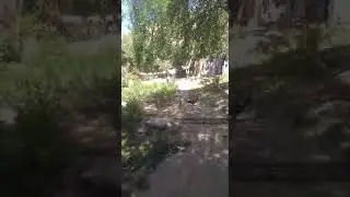 19 апреля 2021 г.