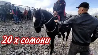 Хариду фуруши Бука ва Аспхо | хохиши подписчик