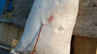 Ну сколько скоро. буду стрелять как раньше!