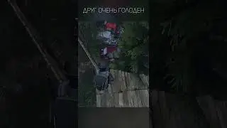 Друг очень голоден  #dayz #дейз