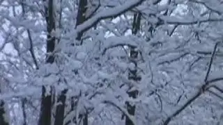 Winter ~ Save Yourself          {original music by voodoou22}